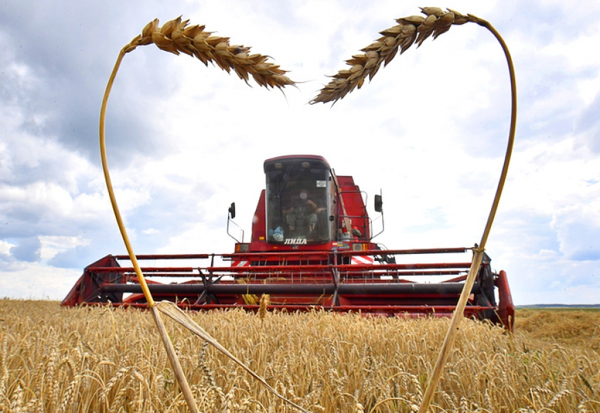 China to consider expansion of grain supplies from Russia 